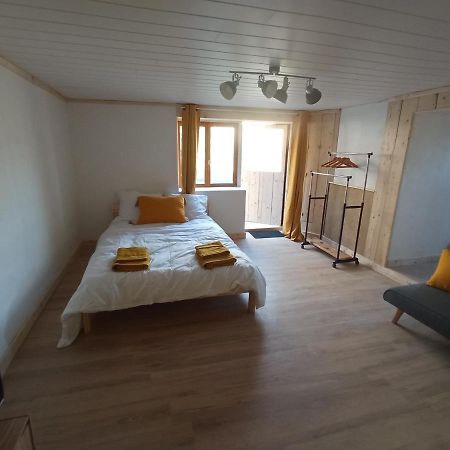Studio Meuble Proche Des Thermes Cransac Εξωτερικό φωτογραφία